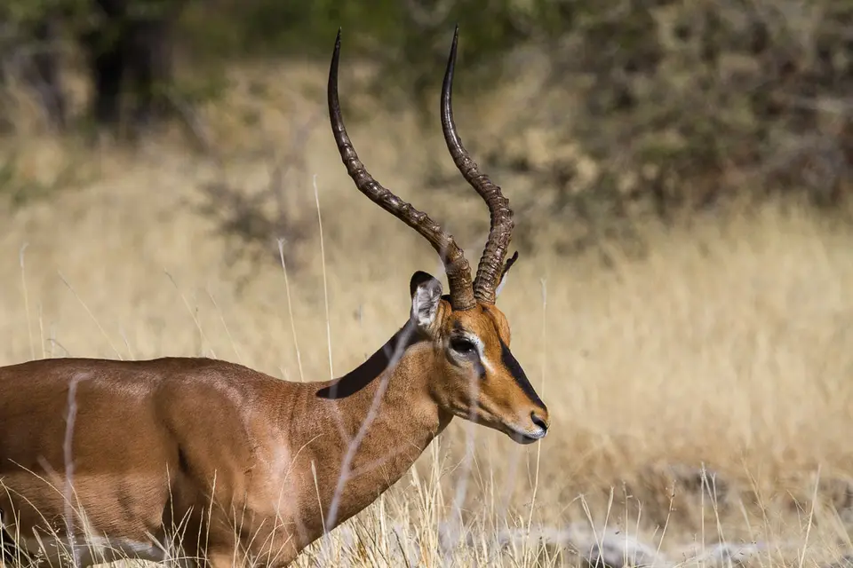 Namibia2012-505.jpg