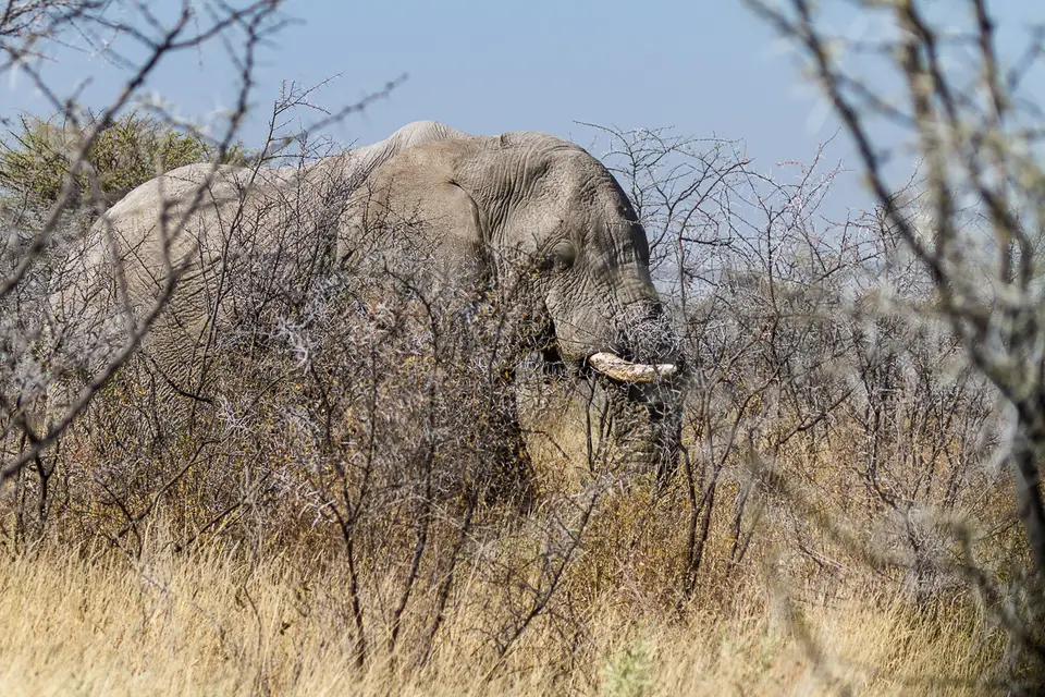 Namibia2012-506.jpg
