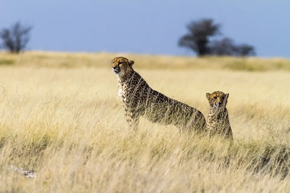 Namibia2012-509.jpg