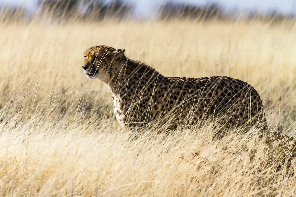 Namibia2012-513.jpg