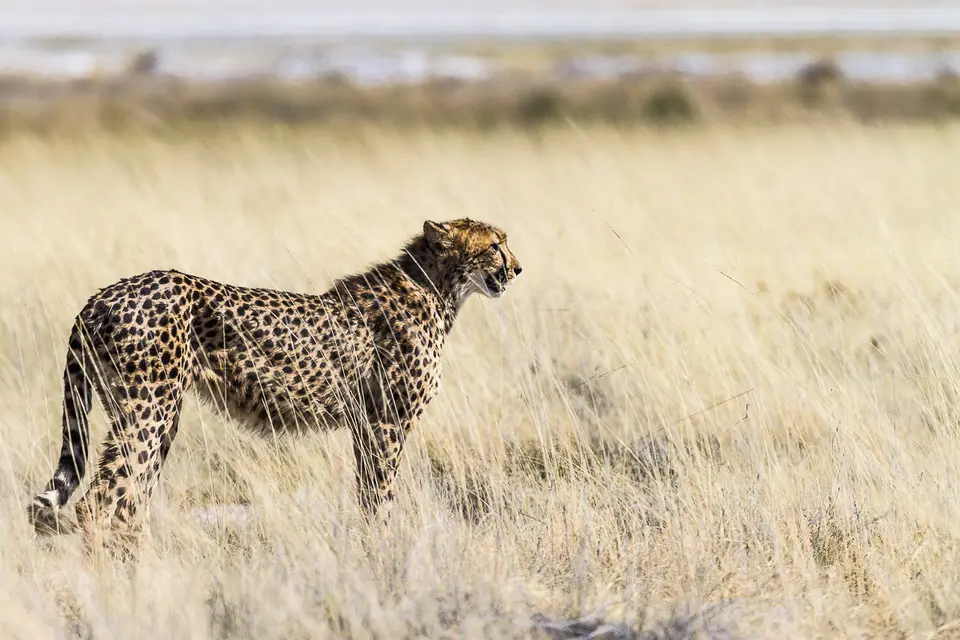 Namibia2012-514.jpg
