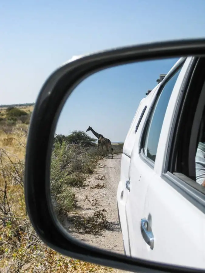 Namibia2012-518.jpg