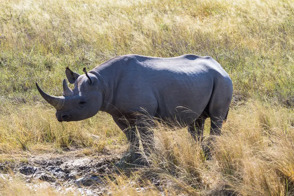 Namibia2012-521.jpg
