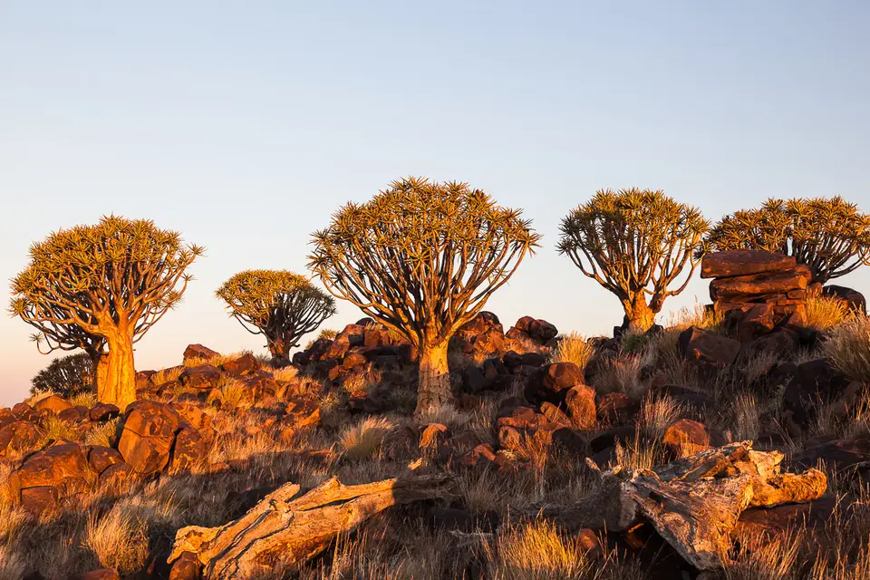 Namibia2012-53.jpg