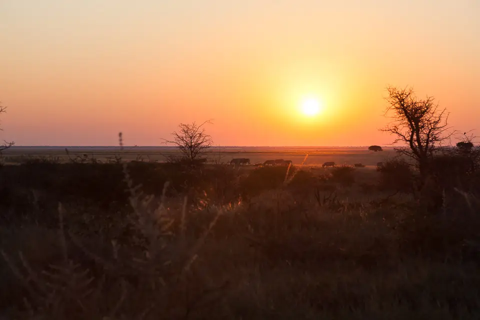 Namibia2012-534.jpg