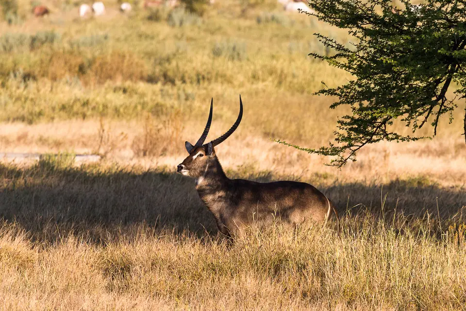 Namibia2012-553.jpg