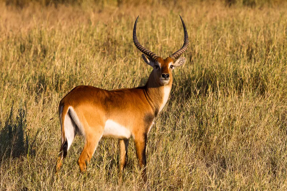 Namibia2012-556.jpg