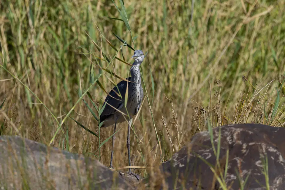 Namibia2012-69.jpg