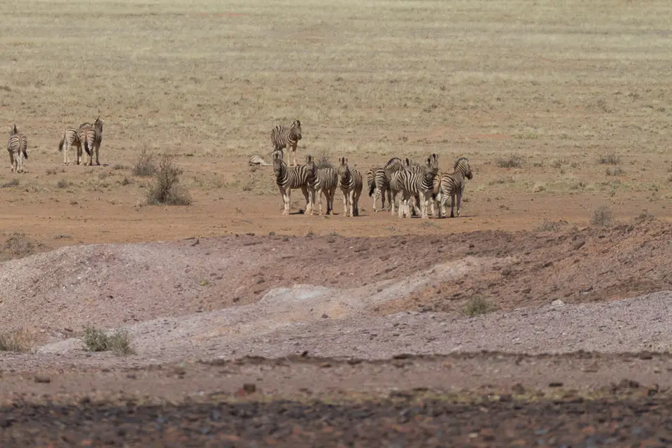 Namibia2012-70.jpg