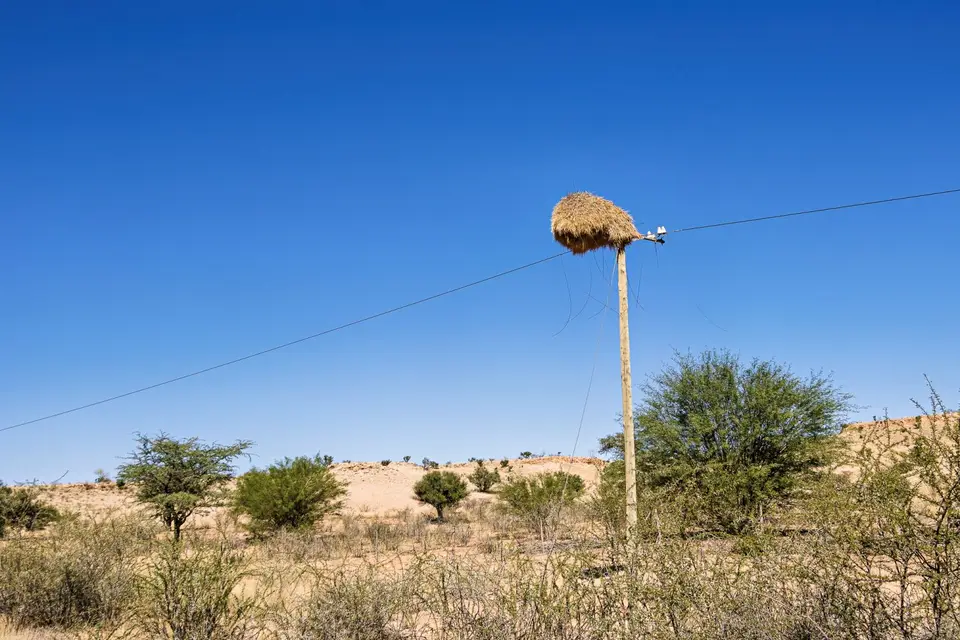 Namibia2023_20230430_OM101965-Bearbeitet.jpg