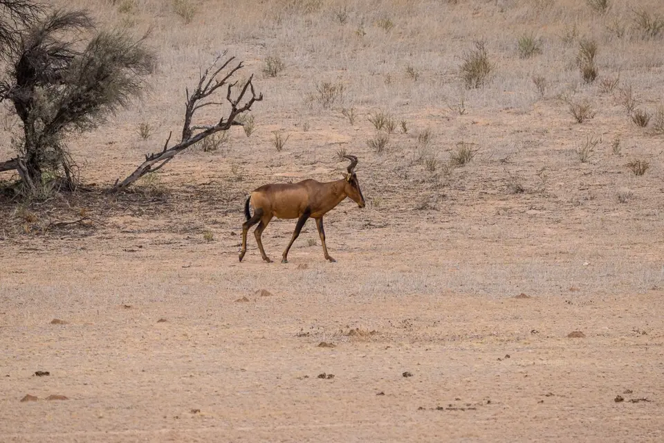Namibia2023_20230501_OM102431.jpg