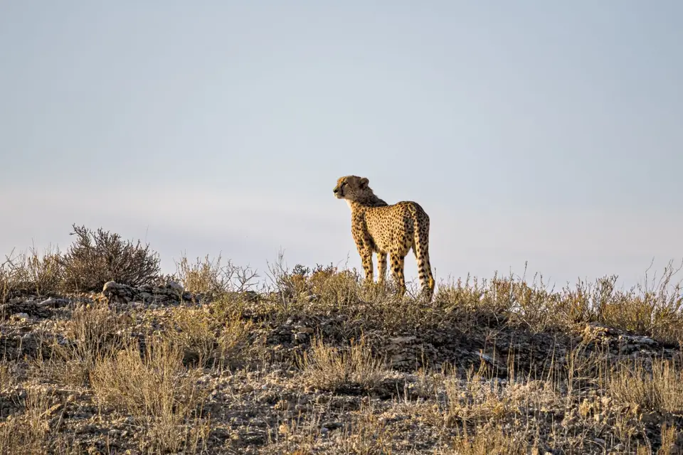 Namibia2023_20230503_OM103190-Bearbeitet.jpg