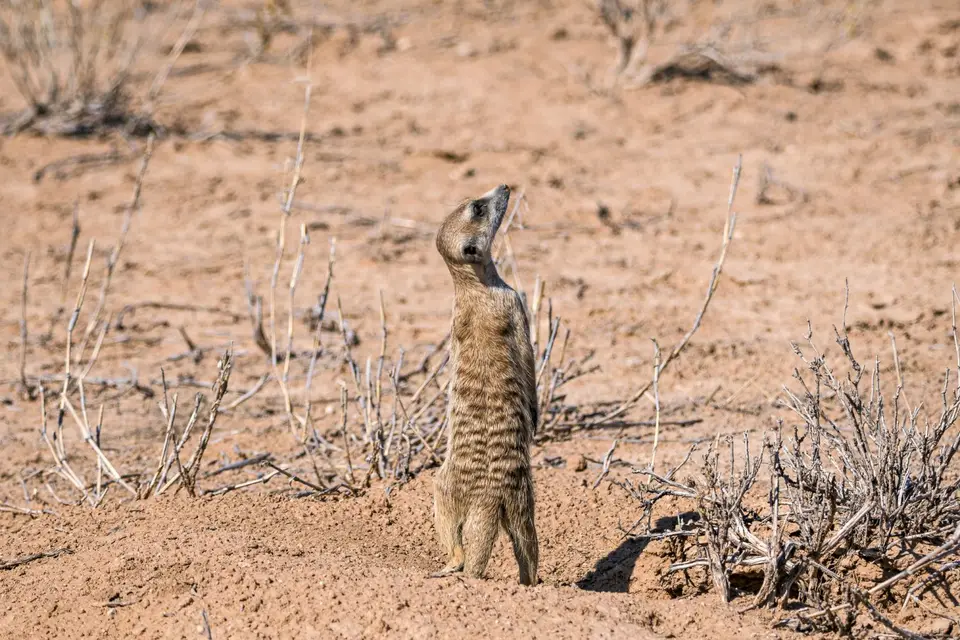 Namibia2023_20230503_OM103224-Bearbeitet.jpg