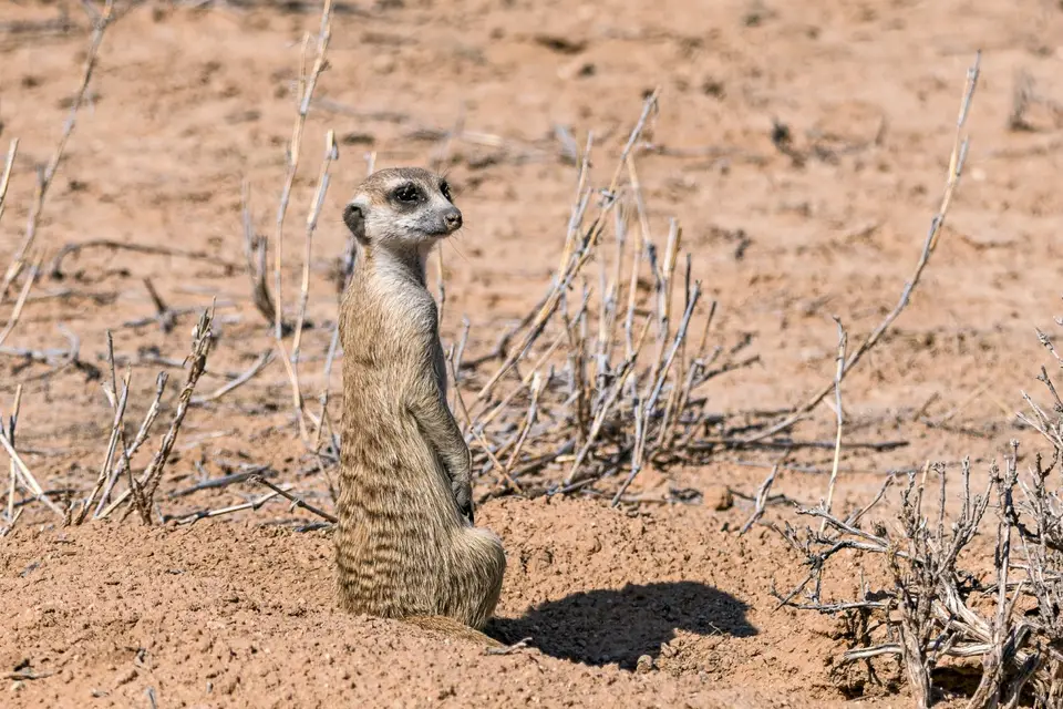Namibia2023_20230503_OM103237-Bearbeitet.jpg
