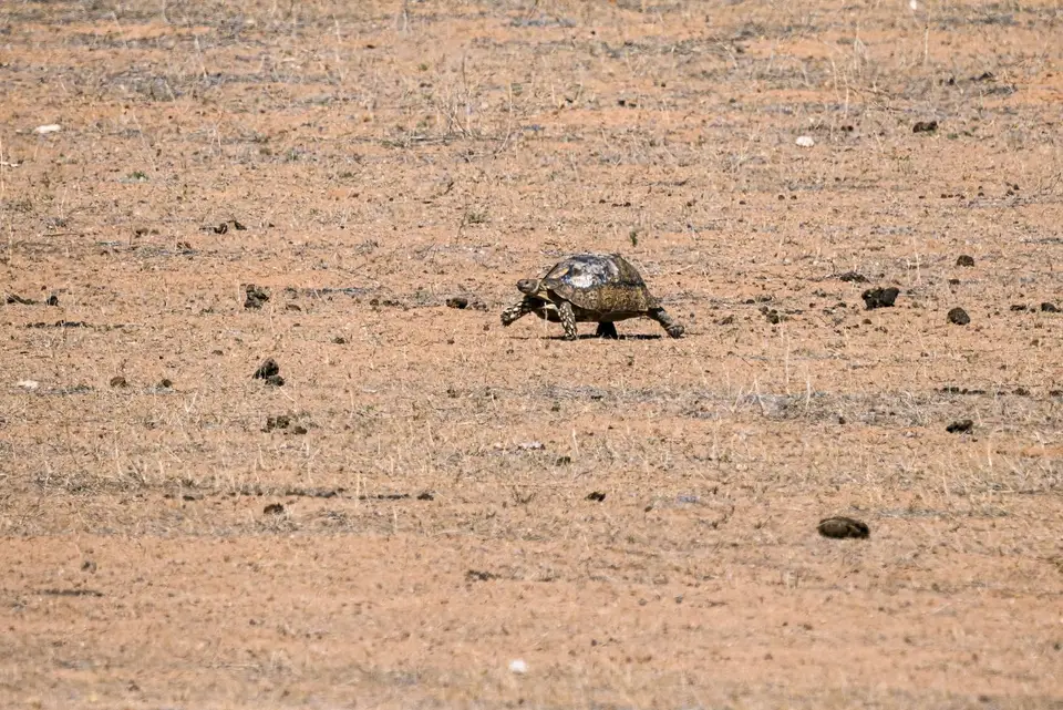 Namibia2023_20230503_OM103262-Bearbeitet.jpg