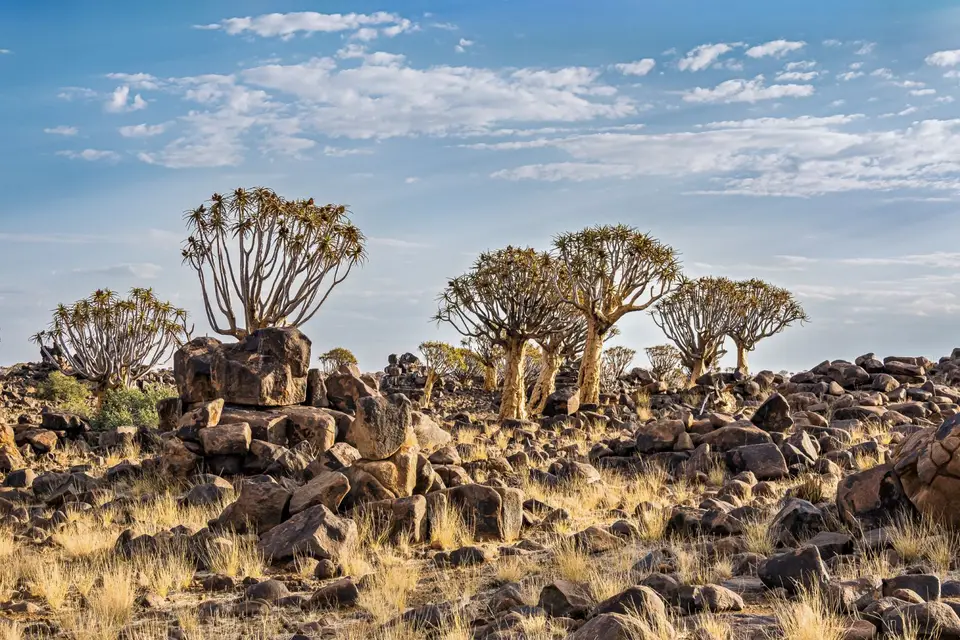 Namibia2023_20230504_OM103294-Bearbeitet.jpg