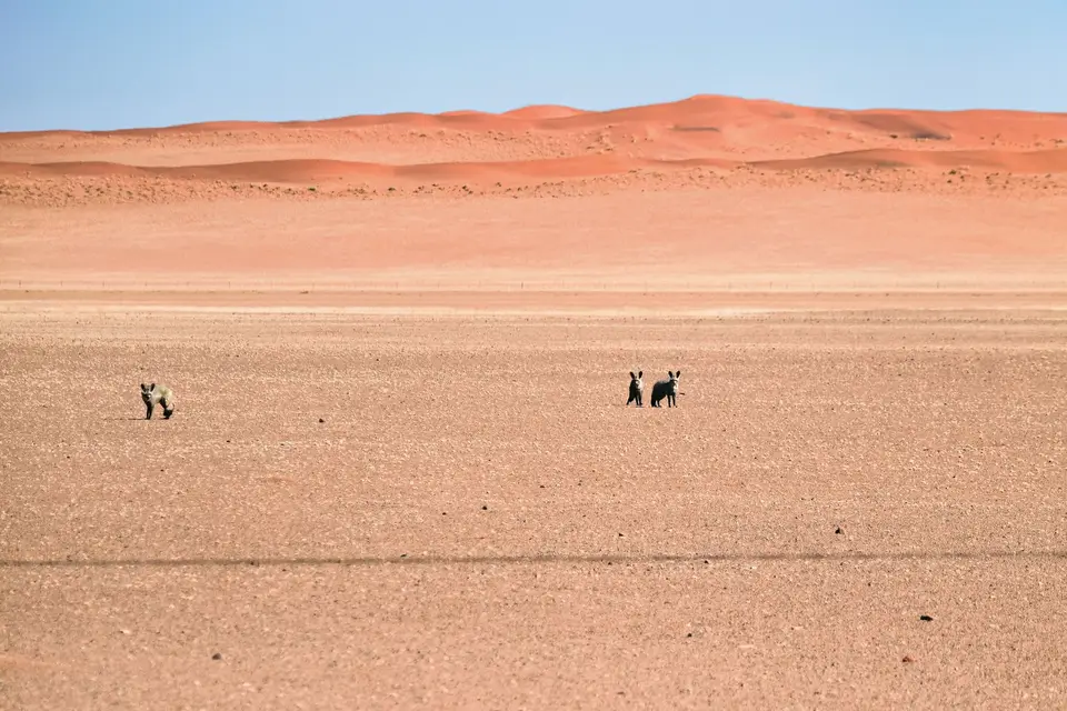 Namibia2023_20230509_OM103796-Bearbeitet.jpg