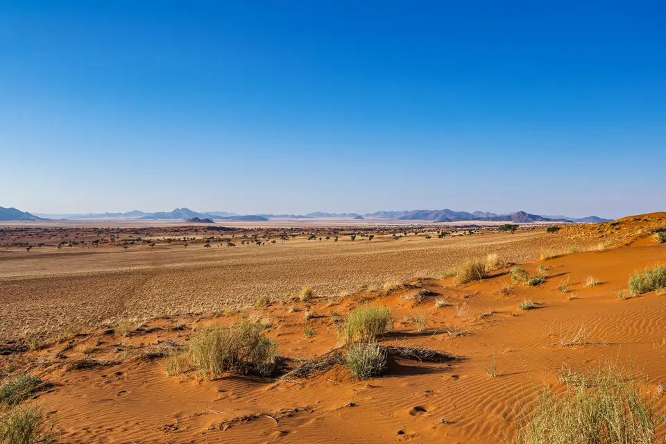 Namibia2023_20230511_OM103895-Bearbeitet.jpg