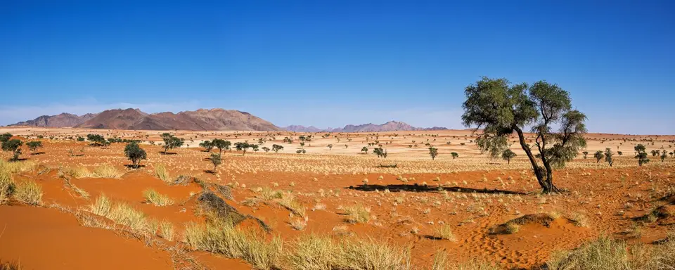 Namibia2023_20230511_OM103909-Bearbeitet-Pano.jpg