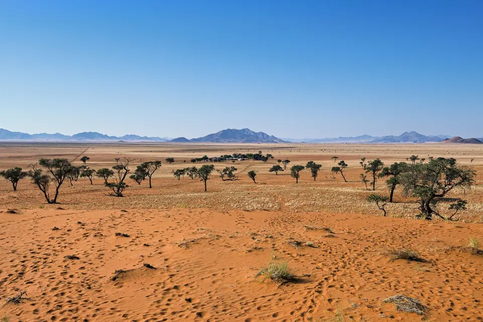 Namibia2023_20230511_OM103919-Bearbeitet.jpg