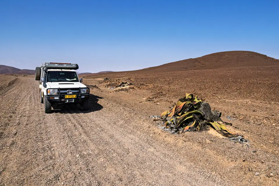 Namibia2023_20230516_OM104330-Bearbeitet.jpg