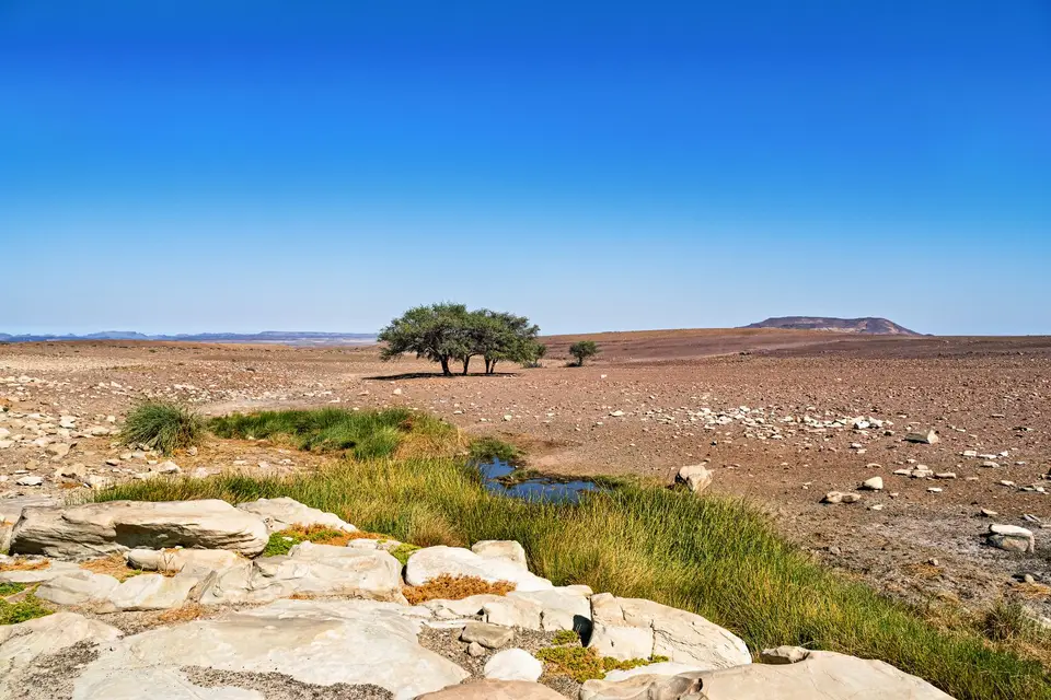 Namibia2023_20230517_M1374668-Bearbeitet.jpg