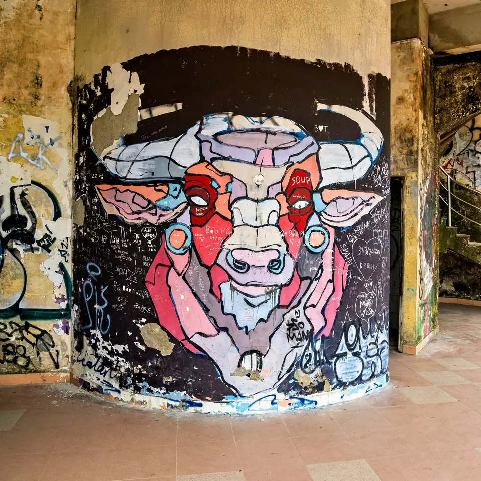 OM102899_Radiant.jpg