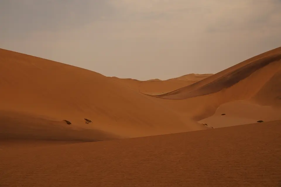 h0c008c6.JPG