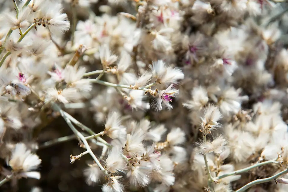 DS1_0511.jpg