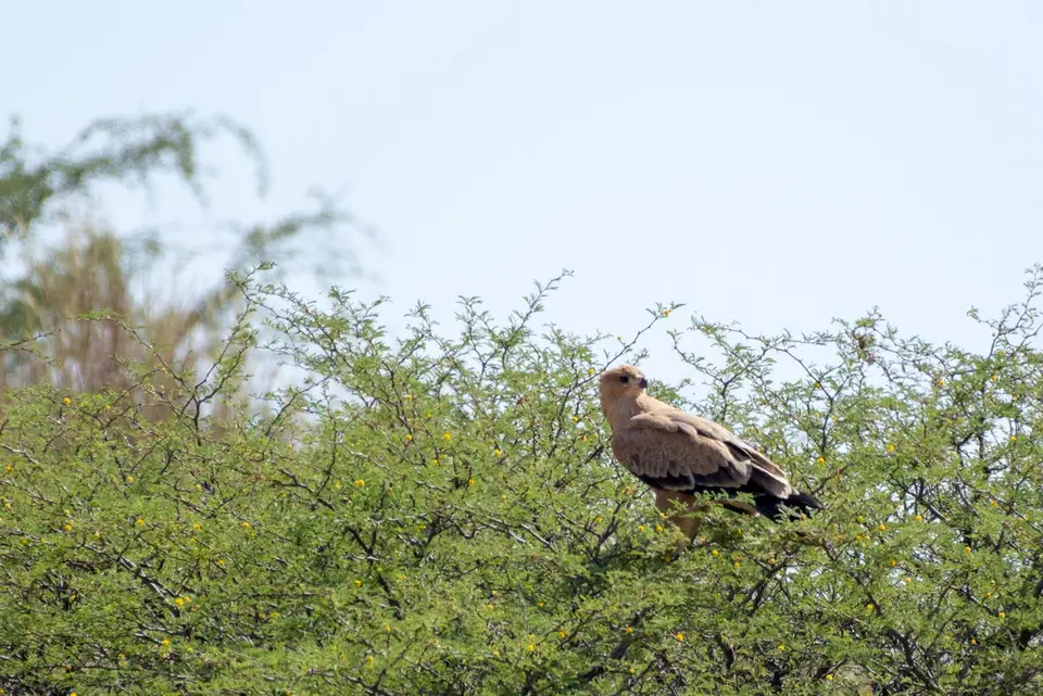 DS2_1143.jpg