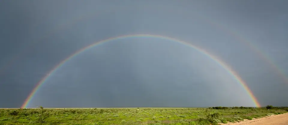 _DS19654.jpg