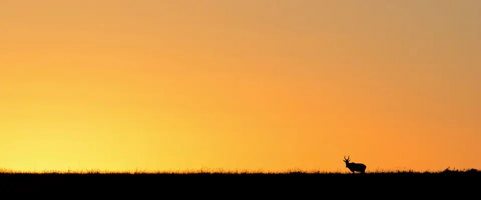 07JAN17Kenia(3von9).jpg