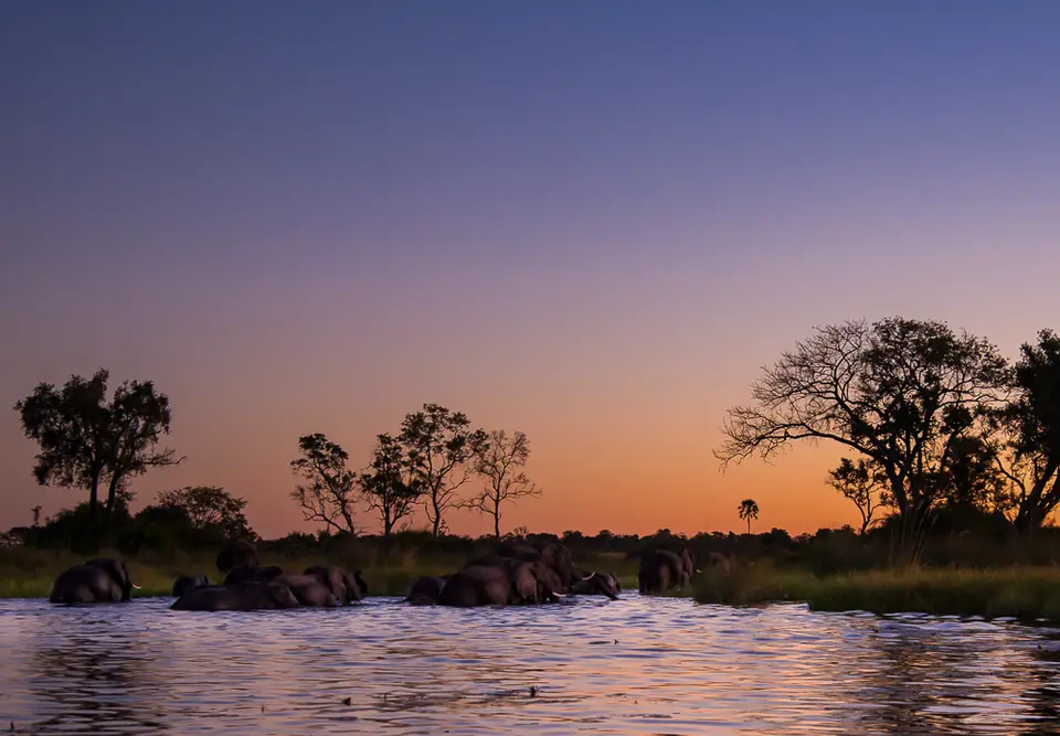 07JUN2015Botswana296.jpg