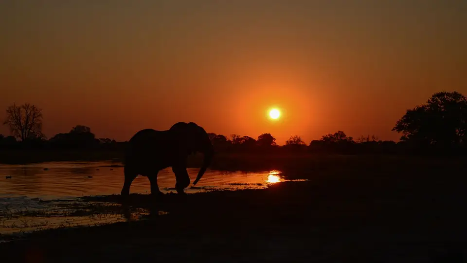 10JUN2015Botswana461.jpg
