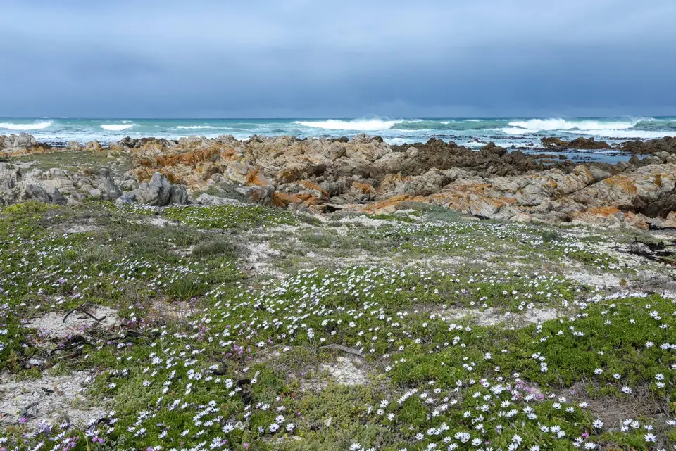 2-NFX_0276-2-2.jpg