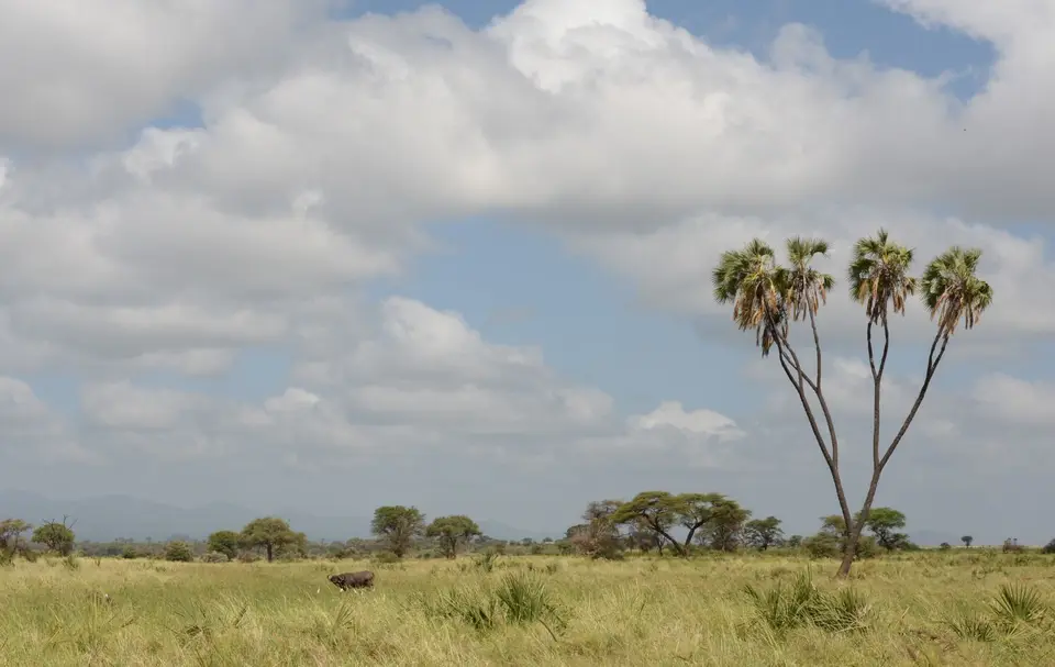 2017Kenia0008-2.jpg