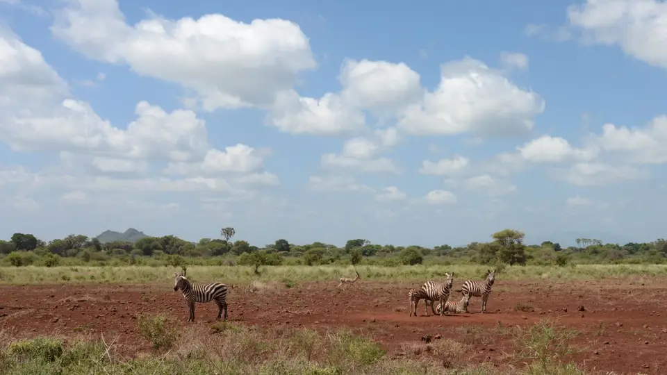 2017Kenia0011.jpg
