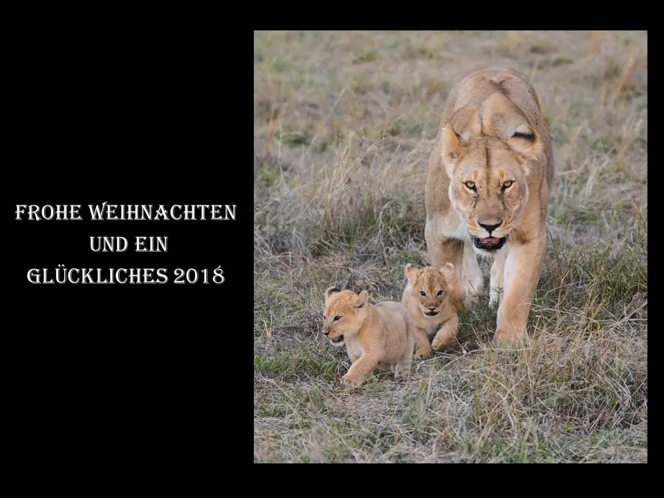 2017Weihnachten.jpg