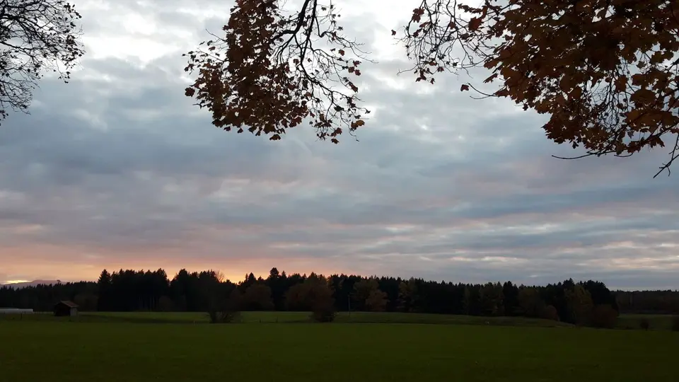 20211026_175600.jpg