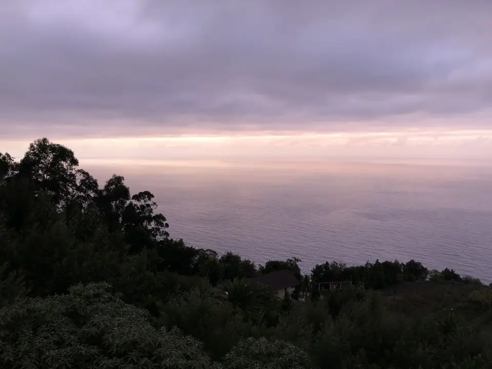 71887B76-6187-410E-9D8B-63C0B0ADE8A3.jpeg