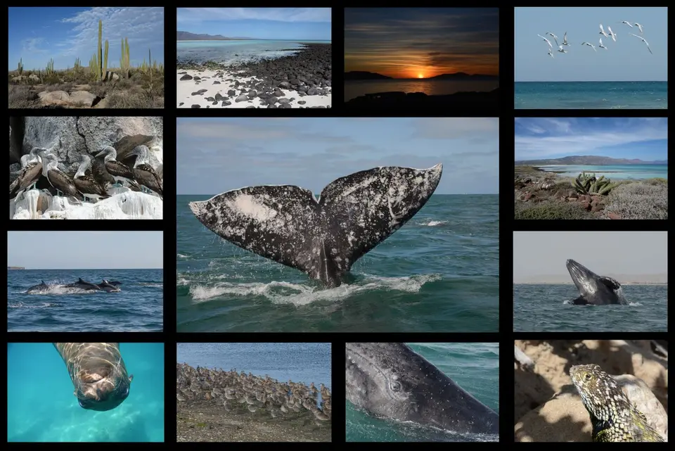 BajaCalifornia2015NEW-2.jpg