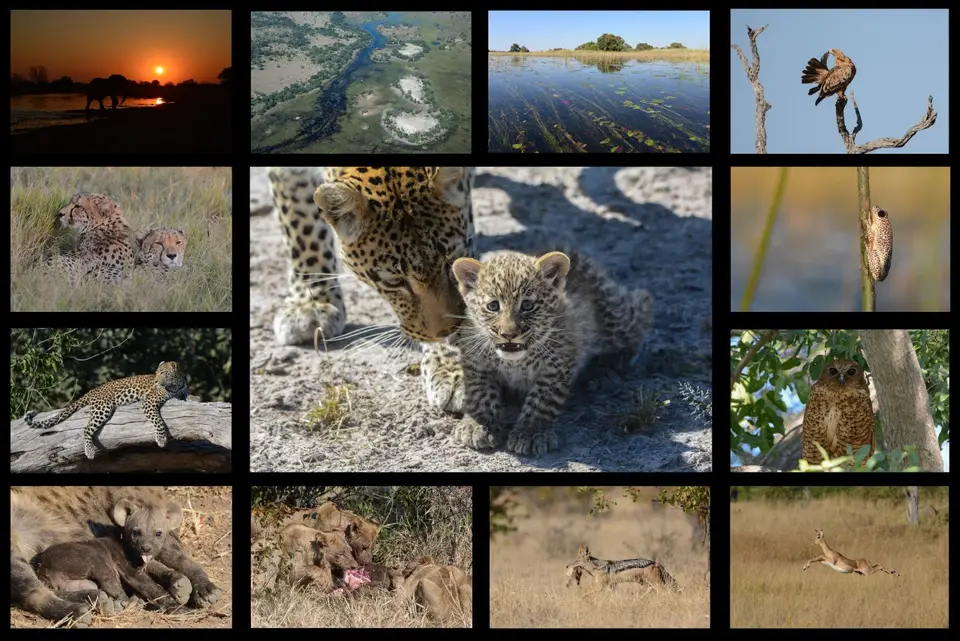 Botswana&Krüger2015-2.jpg