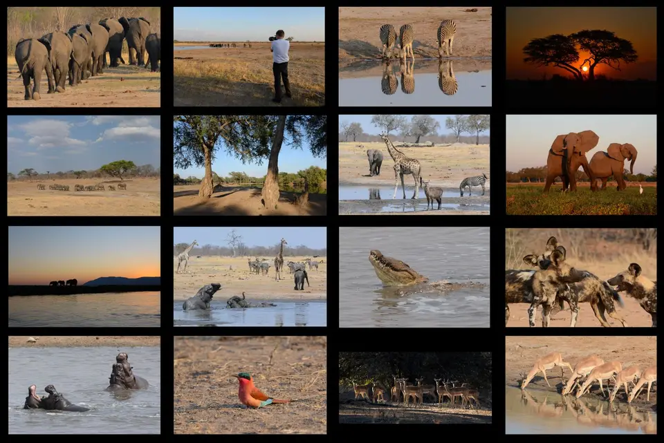 Hwange&ManaPools2015-2.jpg
