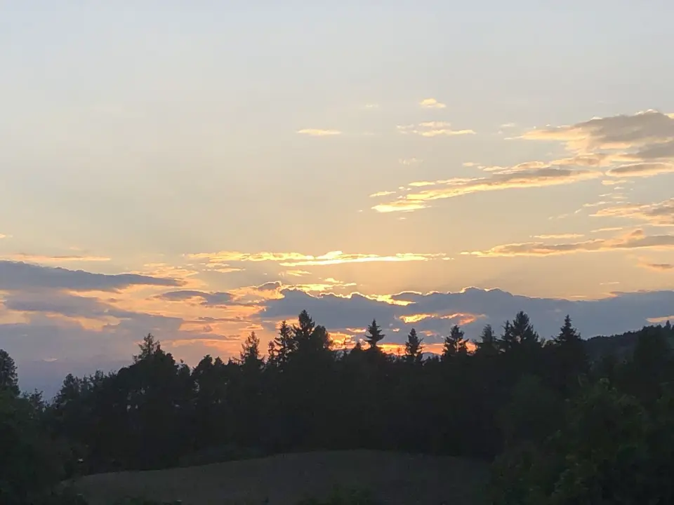 IMG_6172.jpeg