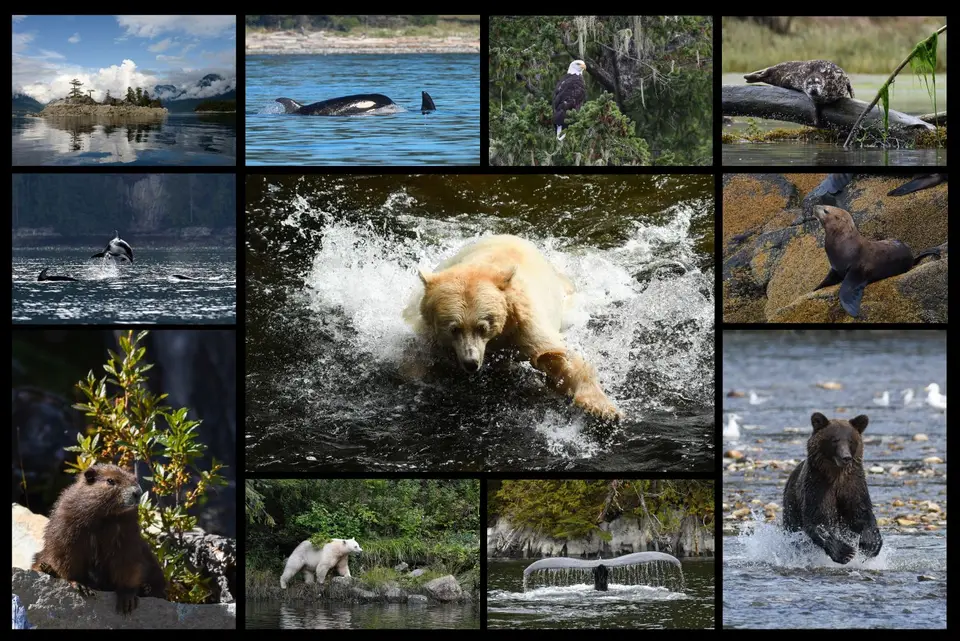 Kanada2019b-2.jpg