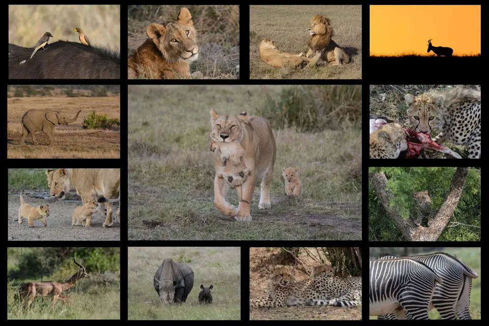 Kenia2017-2.jpg