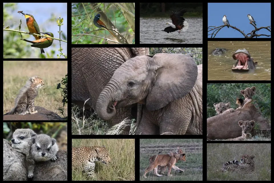Kenia2018-2.jpg