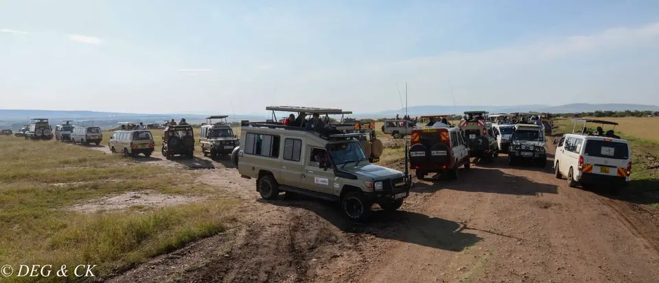MasaiMara(1von1).jpg