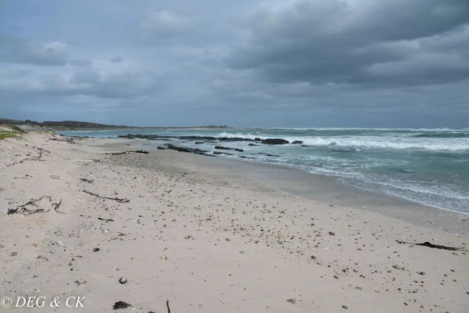 NFX_0302.jpg