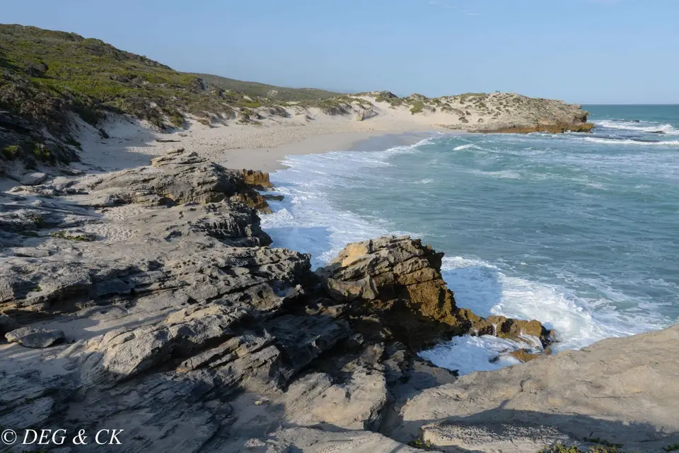 NFX_0583.jpg